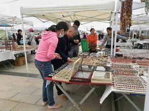 阿拉善展会爆料信息最新,绿色科技盛宴即将启幕